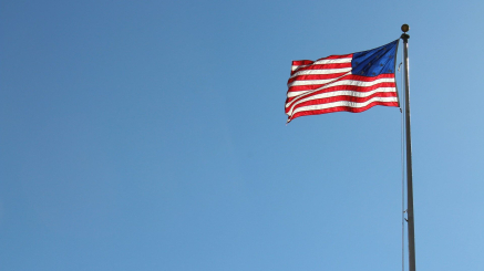 Usa-flagga
